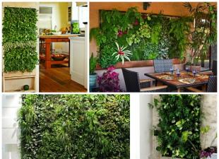 Muri i gjallë - kopshtari vertikal në brendësi Muri i gjallë i gjelbër në apartament