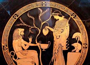 Богиня Афина - как она выглядит и чему покровительствует?