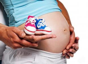 ทำไมผู้หญิงถึงฝันถึงการตั้งครรภ์?